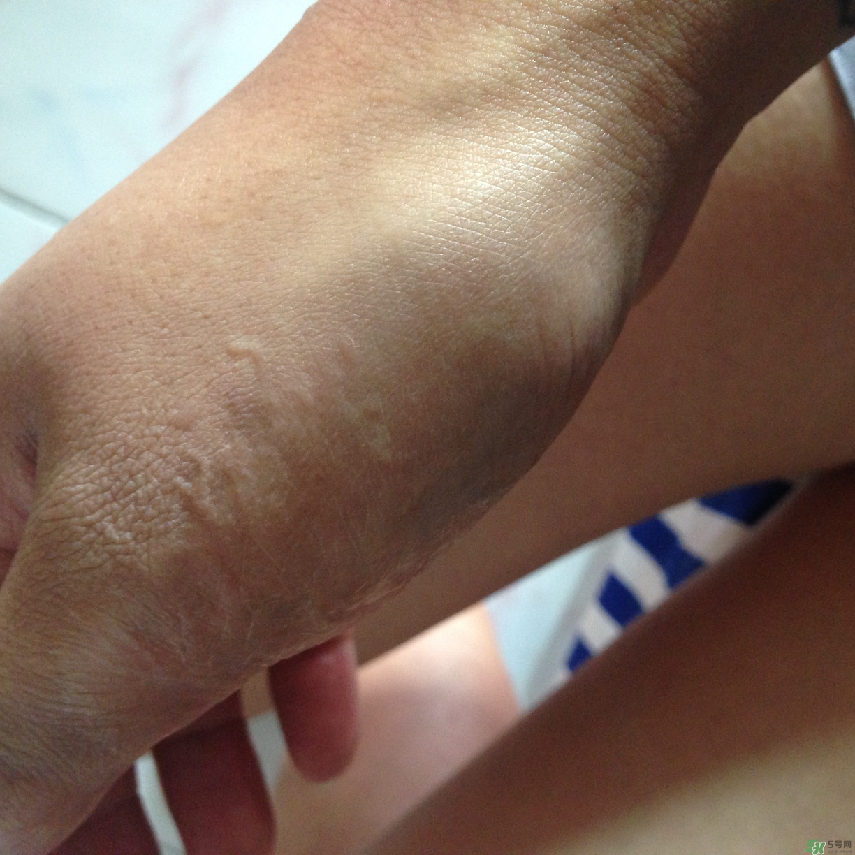 �Ѱ�������bb˪��ô��?�Ѱ�������bb˪������?